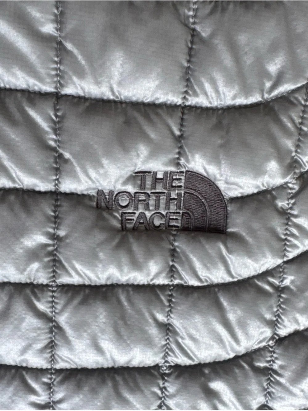 The North Face Men’s Silver Quilted Packable Vest